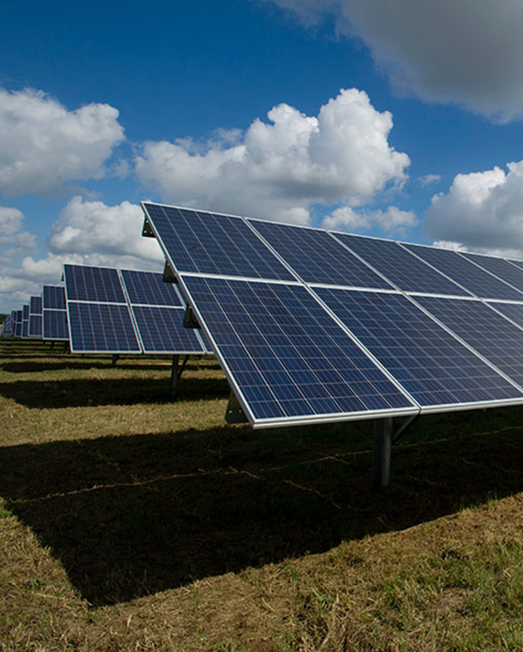 Panel Suppression System